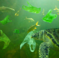 Huge amount of nanoplastics found in the ocean